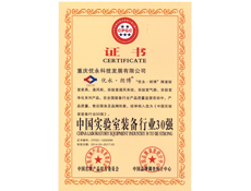 重慶水蜜桃网站在线观看設計